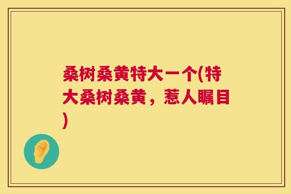 桑树桑黄特大一个(特大桑树桑黄，惹人瞩目)