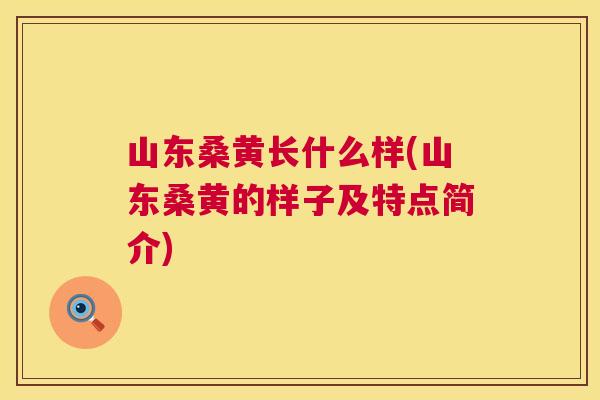 山东桑黄长什么样(山东桑黄的样子及特点简介) 山东桑黄长什么样(山东桑黄的样子及特点简介)