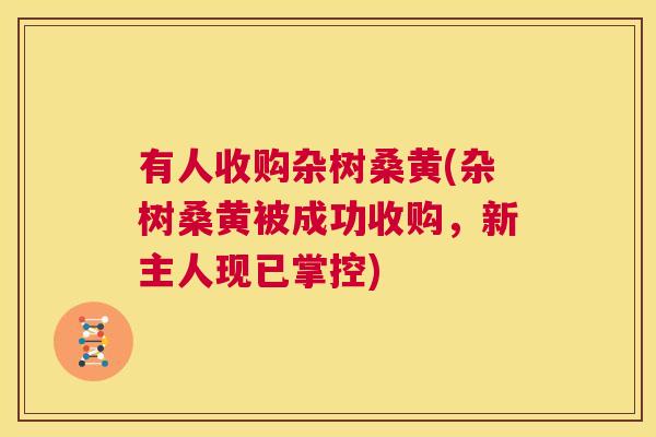 有人收购杂树桑黄(杂树桑黄被成功收购,新主人现已掌控) 有人收购杂树桑黄(杂树桑黄被成功收购,新主人现已掌控)