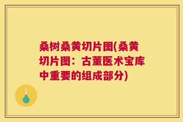 桑树桑黄切片图(桑黄切片图:古董医术宝库中重要的组成部分) 桑树桑黄切片图(桑黄切片图:古董医术宝库中重要的组成部分)