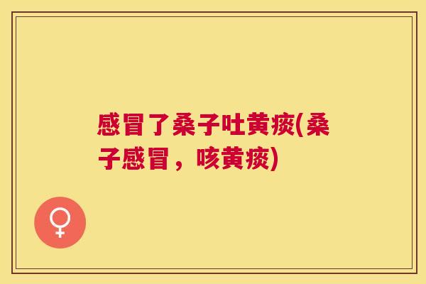 了桑子吐黄痰(桑子,咳黄痰) 了桑子吐黄痰(桑子,咳黄痰)