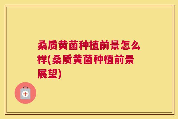 桑质黄菌种植前景怎么样(桑质黄菌种植前景展望) 桑质黄菌种植前景怎么样(桑质黄菌种植前景展望)