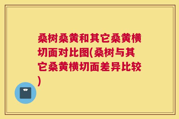 桑树桑黄和其它桑黄横切面对比图(桑树与其它桑黄横切面差异比较) 桑树桑黄和其它桑黄横切面对比图(桑树与其它桑黄横切面差异比较)