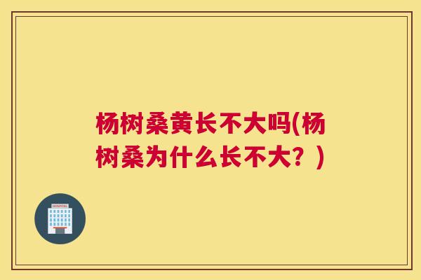 杨树桑黄长不大吗(杨树桑为什么长不大?) 杨树桑黄长不大吗(杨树桑为什么长不大?)