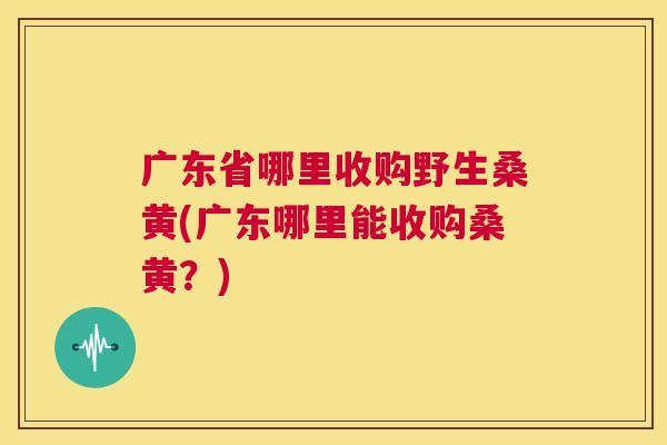 广东省哪里收购野生桑黄(广东哪里能收购桑黄?) 广东省哪里收购野生桑黄(广东哪里能收购桑黄?)
