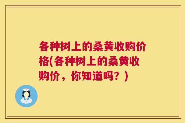 各种树上的桑黄收购价格(各种树上的桑黄收购价,你知道吗?) 各种树上的桑黄收购价格(各种树上的桑黄收购价,你知道吗?)