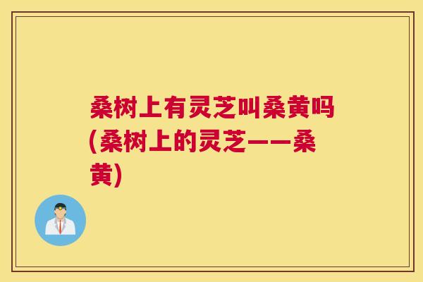 桑树上有灵芝叫桑黄吗(桑树上的灵芝——桑黄) 桑树上有灵芝叫桑黄吗(桑树上的灵芝——桑黄)