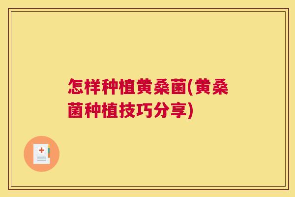 怎样种植黄桑菌(黄桑菌种植技巧分享) 怎样种植黄桑菌(黄桑菌种植技巧分享)
