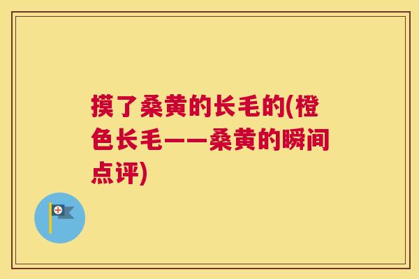 摸了桑黄的长毛的(橙色长毛——桑黄的瞬间点评)