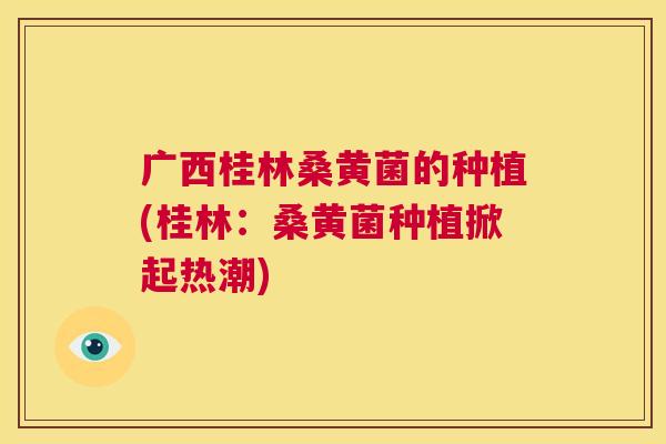 广西桂林桑黄菌的种植(桂林：桑黄菌种植掀起热潮)
