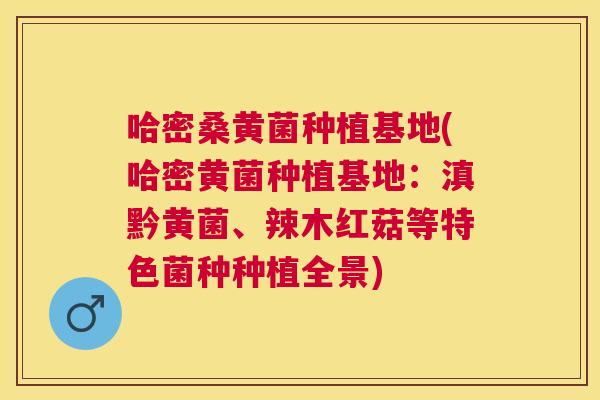 哈密桑黄菌种植基地(哈密黄菌种植基地:滇黔黄菌、辣木红菇等特色菌种种植全景) 哈密桑黄菌种植基地(哈密黄菌种植基地:滇黔黄菌、辣木红菇等特色菌种种植全景)