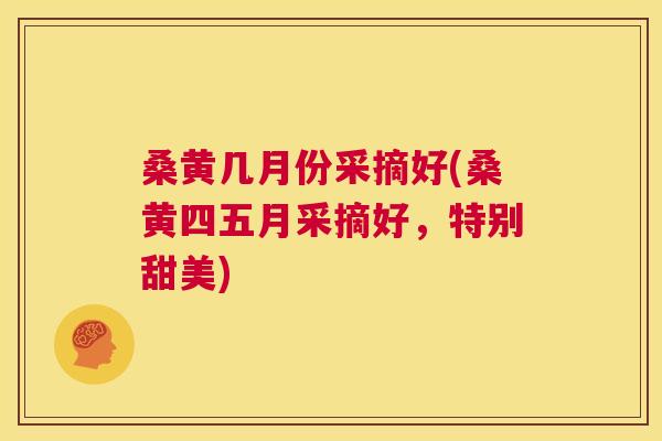 桑黄几月份采摘好(桑黄四五月采摘好,特别甜美) 桑黄几月份采摘好(桑黄四五月采摘好,特别甜美)