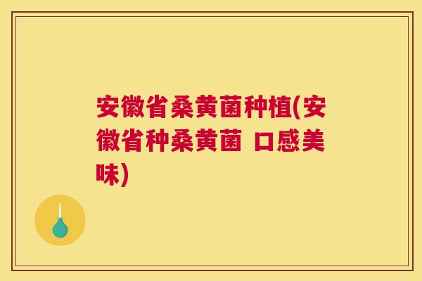 安徽省桑黄菌种植(安徽省种桑黄菌 口感美味) 安徽省桑黄菌种植(安徽省种桑黄菌 口感美味)