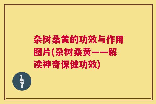 杂树桑黄的功效与作用图片(杂树桑黄——解读神奇保健功效) 杂树桑黄的功效与作用图片(杂树桑黄——解读神奇保健功效)
