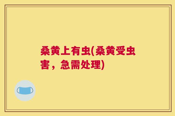 桑黄上有虫(桑黄受虫害，急需处理)