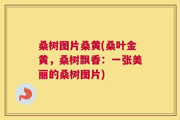 桑树图片桑黄(桑叶金黄，桑树飘香：一张美丽的桑树图片)