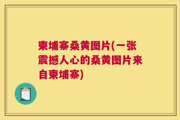 柬埔寨桑黄图片(一张震撼人心的桑黄图片来自柬埔寨) 柬埔寨桑黄图片(一张震撼人心的桑黄图片来自柬埔寨)