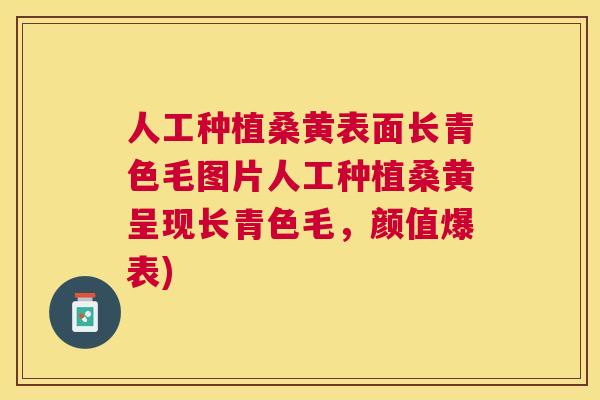 人工种植桑黄表面长青色毛图片人工种植桑黄呈现长青色毛,颜值爆表) 人工种植桑黄表面长青色毛图片人工种植桑黄呈现长青色毛,颜值爆表)