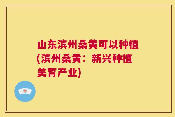 山东滨州桑黄可以种植(滨州桑黄:新兴种植美育产业) 山东滨州桑黄可以种植(滨州桑黄:新兴种植美育产业)