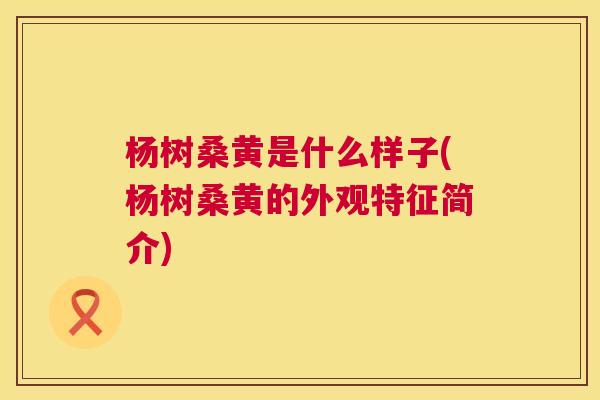 杨树桑黄是什么样子(杨树桑黄的外观特征简介) 杨树桑黄是什么样子(杨树桑黄的外观特征简介)