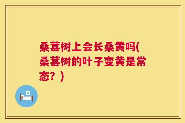 桑葚树上会长桑黄吗(桑葚树的叶子变黄是常态?) 桑葚树上会长桑黄吗(桑葚树的叶子变黄是常态?)