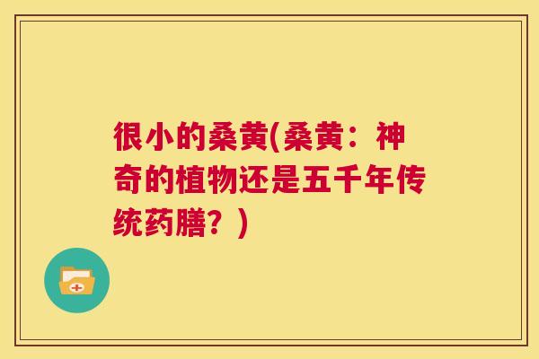 很小的桑黄(桑黄:神奇的植物还是五千年传统药膳?) 很小的桑黄(桑黄:神奇的植物还是五千年传统药膳?)