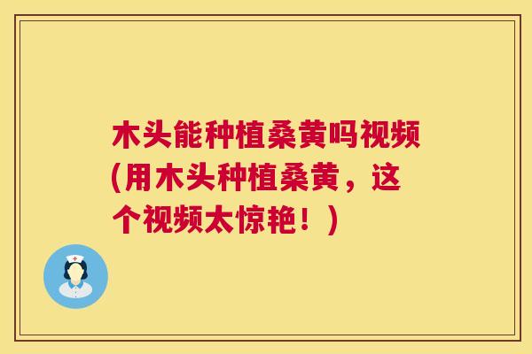 木头能种植桑黄吗视频(用木头种植桑黄,这个视频太惊艳!) 木头能种植桑黄吗视频(用木头种植桑黄,这个视频太惊艳!)