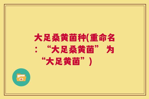 大足桑黄菌种(重命名:“大足桑黄菌” 为 “大足黄菌”) 大足桑黄菌种(重命名:“大足桑黄菌” 为 “大足黄菌”)