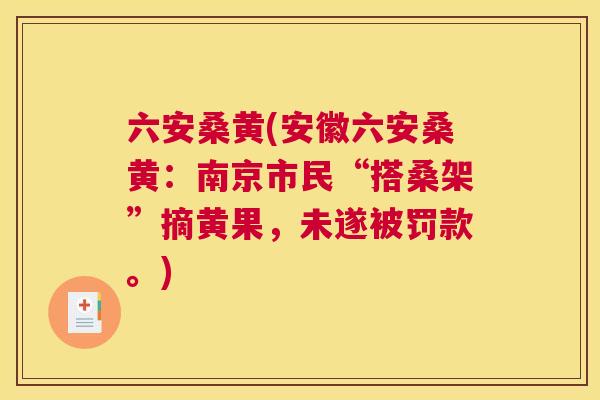 六安桑黄(安徽六安桑黄:南京市民“搭桑架”摘黄果,未遂被罚款。) 六安桑黄(安徽六安桑黄:南京市民“搭桑架”摘黄果,未遂被罚款。)