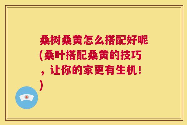 桑树桑黄怎么搭配好呢(桑叶搭配桑黄的技巧，让你的家更有生机！)