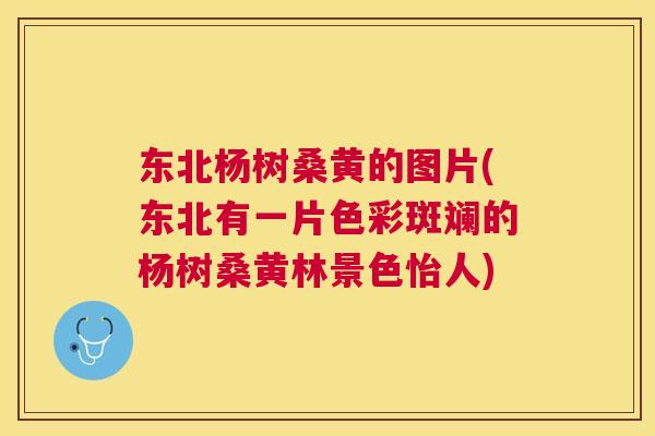 东北杨树桑黄的图片(东北有一片色彩斑斓的杨树桑黄林景色怡人) 东北杨树桑黄的图片(东北有一片色彩斑斓的杨树桑黄林景色怡人)