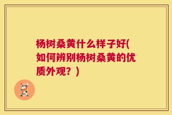 杨树桑黄什么样子好(如何辨别杨树桑黄的优质外观?) 杨树桑黄什么样子好(如何辨别杨树桑黄的优质外观?)