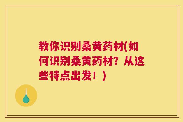 教你识别桑黄药材(如何识别桑黄药材?从这些特点出发!) 教你识别桑黄药材(如何识别桑黄药材?从这些特点出发!)