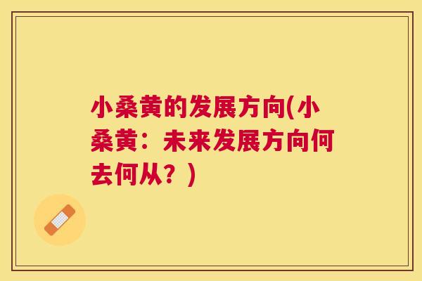 小桑黄的发展方向(小桑黄:未来发展方向何去何从?) 小桑黄的发展方向(小桑黄:未来发展方向何去何从?)