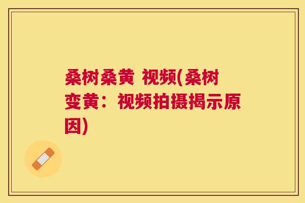 桑树桑黄 视频(桑树变黄:视频拍摄揭示原因) 桑树桑黄 视频(桑树变黄:视频拍摄揭示原因)