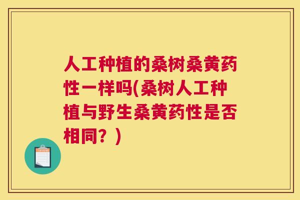 人工种植的桑树桑黄一样吗(桑树人工种植与野生桑黄是否相同?) 人工种植的桑树桑黄一样吗(桑树人工种植与野生桑黄是否相同?)