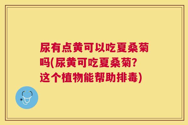 尿有点黄可以吃夏桑菊吗(尿黄可吃夏桑菊？这个植物能帮助)