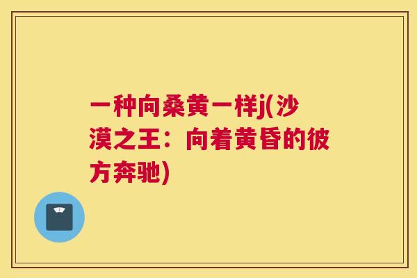 一种向桑黄一样j(沙漠之王:向着黄昏的彼方奔驰) 一种向桑黄一样j(沙漠之王:向着黄昏的彼方奔驰)