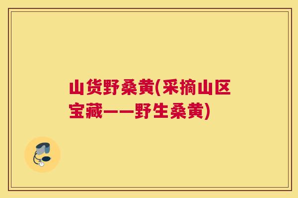 山货野桑黄(采摘山区宝藏——野生桑黄) 山货野桑黄(采摘山区宝藏——野生桑黄)