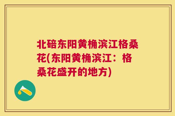 北碚东阳黄桷滨江格桑花(东阳黄桷滨江:格桑花盛开的地方) 北碚东阳黄桷滨江格桑花(东阳黄桷滨江:格桑花盛开的地方)