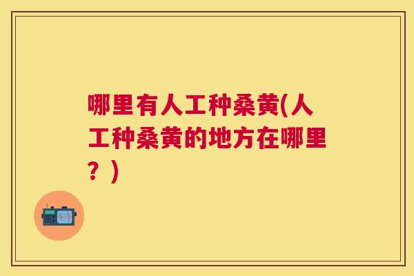 哪里有人工种桑黄(人工种桑黄的地方在哪里?) 哪里有人工种桑黄(人工种桑黄的地方在哪里?)