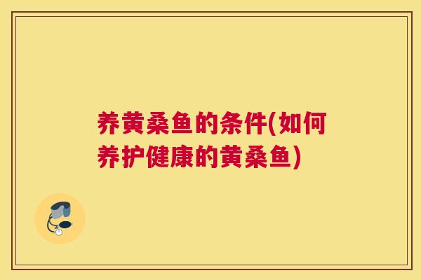 养黄桑鱼的条件(如何养护健康的黄桑鱼) 养黄桑鱼的条件(如何养护健康的黄桑鱼)