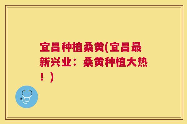 宜昌种植桑黄(宜昌新兴业：桑黄种植大热！)