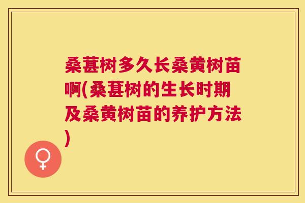 桑葚树多久长桑黄树苗啊(桑葚树的生长时期及桑黄树苗的养护方法) 桑葚树多久长桑黄树苗啊(桑葚树的生长时期及桑黄树苗的养护方法)
