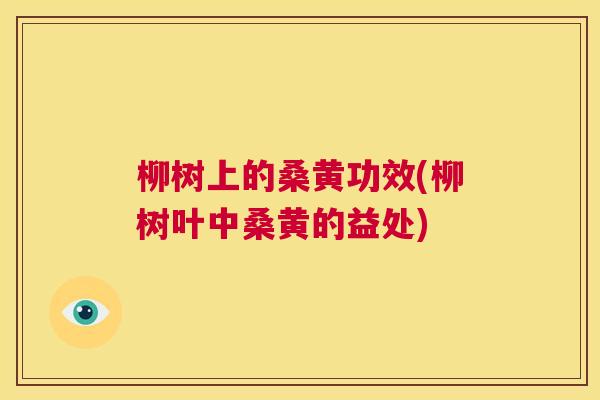 柳树上的桑黄功效(柳树叶中桑黄的益处)