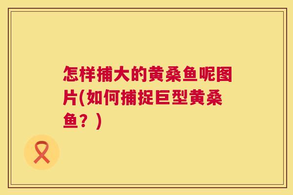 怎样捕大的黄桑鱼呢图片(如何捕捉巨型黄桑鱼?) 怎样捕大的黄桑鱼呢图片(如何捕捉巨型黄桑鱼?)