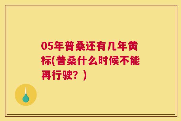 05年普桑还有几年黄标(普桑什么时候不能再行驶？)