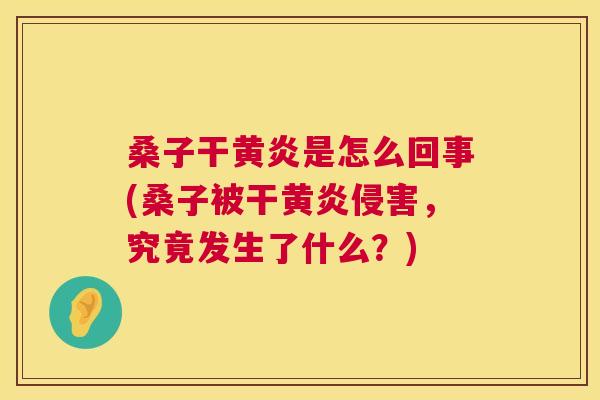 桑子干黄炎是怎么回事(桑子被干黄炎侵害，究竟发生了什么？)