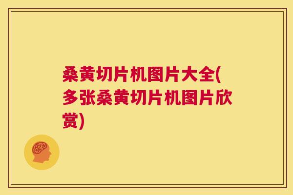 桑黄切片机图片大全(多张桑黄切片机图片欣赏) 桑黄切片机图片大全(多张桑黄切片机图片欣赏)