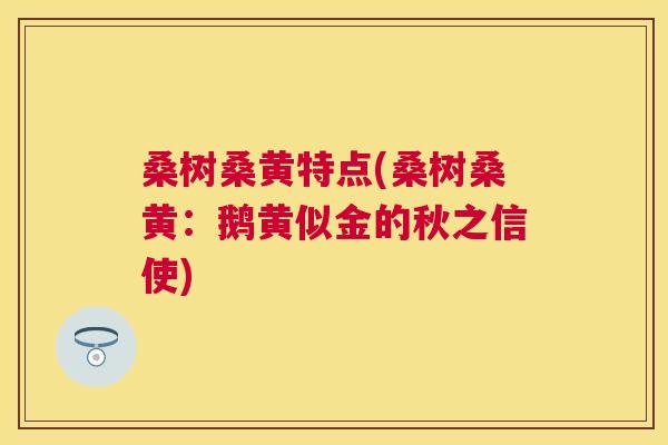 桑树桑黄特点(桑树桑黄:鹅黄似金的秋之信使) 桑树桑黄特点(桑树桑黄:鹅黄似金的秋之信使)